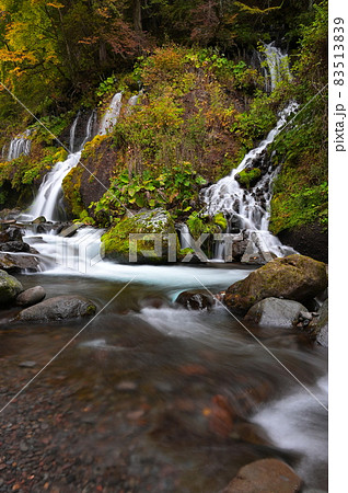 秋を迎える吐竜の滝《北杜市》 秋を迎える吐竜の滝《北杜市》 83513839