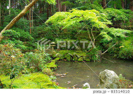 金剛輪寺の風景 金剛輪寺の風景 83514010