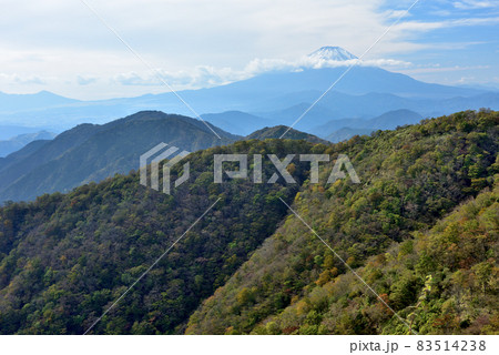 富士山と紅葉(日本の秋 丹沢・塔ノ岳/鍋割山の道) 富士山と紅葉(日本の秋 丹沢・塔ノ岳/鍋割山の道) 83514238
