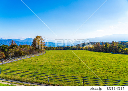 山梨県立まきば公園 山梨県立まきば公園 83514315