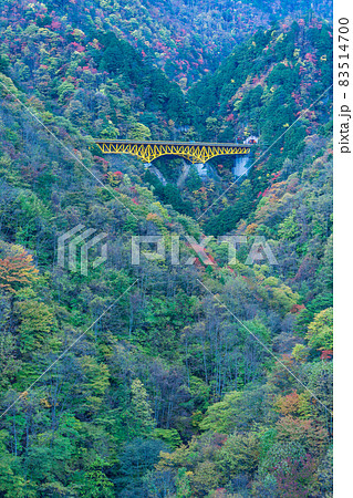 （埼玉県）雁坂トンネルに続く、雁坂大橋と紅葉 83514700