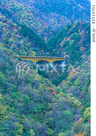 （埼玉県）雁坂トンネルに続く、雁坂大橋と紅葉 83514701