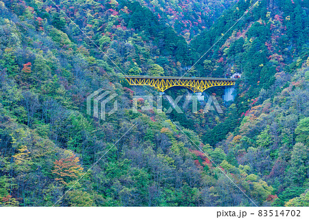 （埼玉県）雁坂トンネルに続く、雁坂大橋と紅葉 83514702