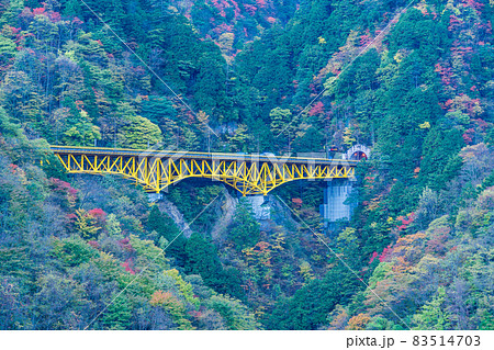 (埼玉県)雁坂トンネルに続く、雁坂大橋と紅葉 (埼玉県)雁坂トンネルに続く、雁坂大橋と紅葉 83514703