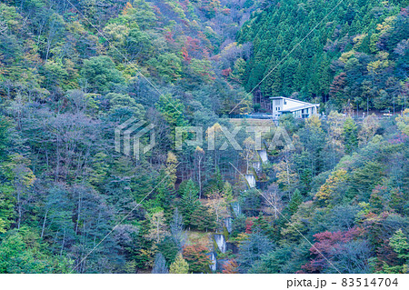（埼玉県）雁坂トンネルに続く、雁坂大橋と紅葉 83514704