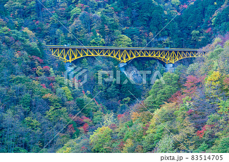 （埼玉県）雁坂トンネルに続く、雁坂大橋と紅葉 83514705