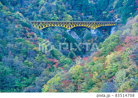 （埼玉県）雁坂トンネルに続く、雁坂大橋と紅葉 83514708