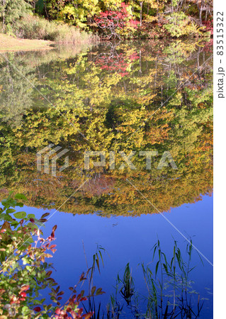 秋の曲沢沼(福島県・北塩原村) 秋の曲沢沼(福島県・北塩原村) 83515322