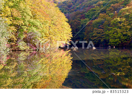 秋の曲沢沼(福島県・北塩原村) 秋の曲沢沼(福島県・北塩原村) 83515323