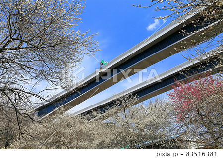 【東京都】高尾梅郷と八王子JCT 【東京都】高尾梅郷と八王子JCT 83516381