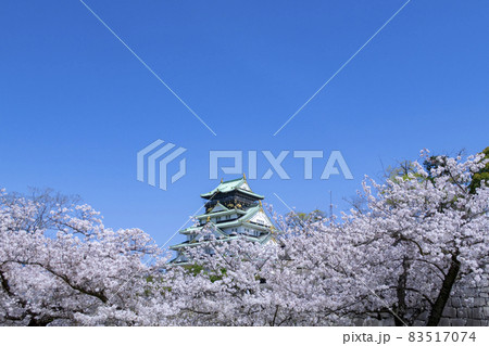 大阪城　桜　春 83517074