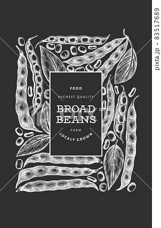 Hand drawn broad beans design template. Organic fresh food vector illustration on chalk board. Retro pods illustration. Botanical style cereal background. Hand drawn broad beans design template. Organic fresh food vector illustration on chalk board. Retro pods illustration. Botanical style cereal background. 83517689