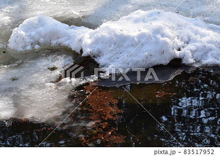 池に雪が積もっているが水が見えている場所には木が反射している風景 83517952