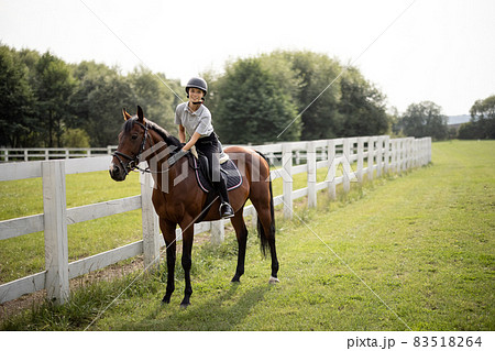 Female horseman riding brown Thoroughbred horse in summer Female horseman riding brown Thoroughbred horse in summer 83518264