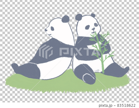 2匹のパンダ 83518622