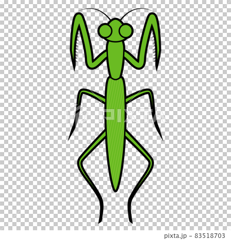 カマキリ 83518703
