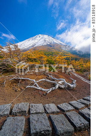 奥庭の紅葉 富士山 奥庭の紅葉 富士山 83518918