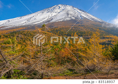 奥庭の紅葉 富士山 奥庭の紅葉 富士山 83518937