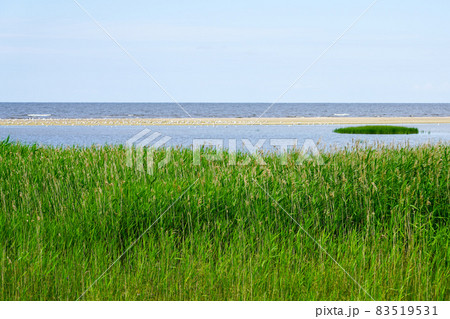 nature reserve Randu Meadows, located on the eastern shore of the Gulf of Riga in the Baltic Sea 83519531
