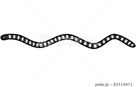 エラブウミヘビ 83519971