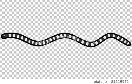 エラブウミヘビ 83519971