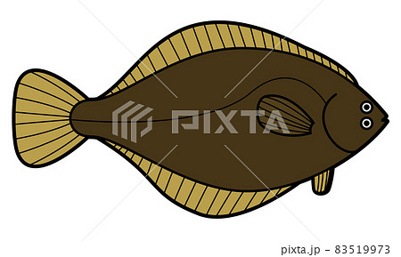 カレイのイラスト素材 カレイのイラスト素材