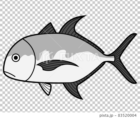 ロウニンアジ 83520004