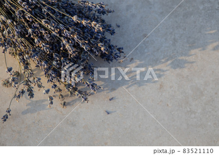 Lavender branches on light textured background, in soft sunset light, neutral colors, copy space, close-up. Flat lay, view from above. Concept aromatherapy, beauty, health care, alternative medicine Lavender branches on light textured background, in soft sunset light, neutral colors, copy space, close-up. Flat lay, view from above. Concept aromatherapy, beauty, health care, alternative medicine 83521110
