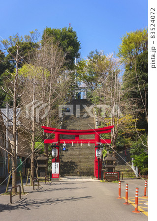 [東京・愛宕] 愛宕山の男坂である出世の石段と赤い鳥居に導く愛宕神社の参道。 83524072