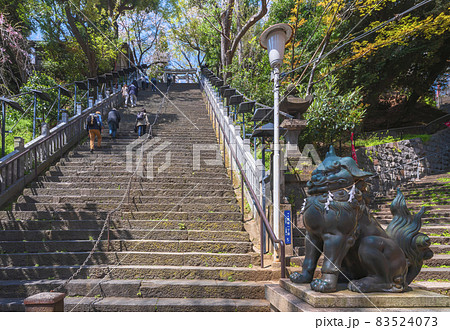 [東京・愛宕] 愛宕神社の出世の石段を上る参拝者を見守る狛犬の銅像。 83524073