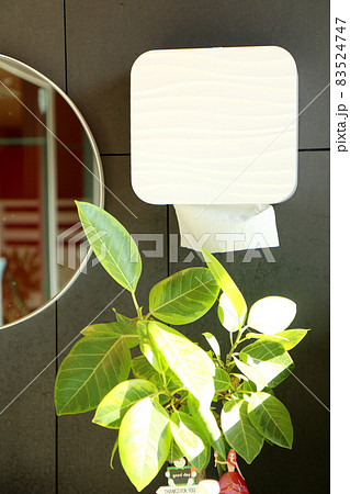 洗面台に設置されたペーパータオル 洗面台に設置されたペーパータオル 83524747