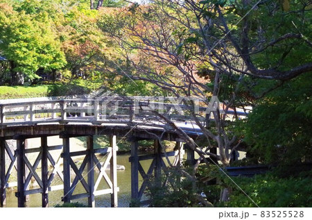 紅葉とアーチ型の橋 83525528