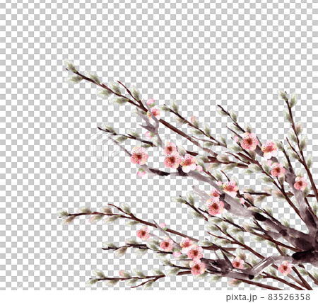 梅花柳水彩畫 83526358