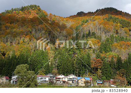 里山の紅葉と伊南川沿いの集落-荒島橋から 福島県只見町 里山の紅葉と伊南川沿いの集落-荒島橋から 福島県只見町 83528940