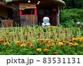 Beautiful landscape of Nami Island, South Korea - July 2016 83531131