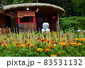 Beautiful landscape of Nami Island, South Korea - July 2016 83531132