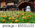 Beautiful landscape of Nami Island, South Korea - July 2016 83531133
