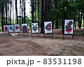 Korean art at Nami Island, South Korea - July 2016 83531198