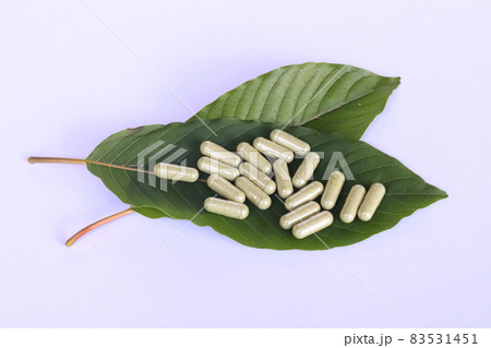 Capsules of the herbal supplement Kratom Capsules of the herbal supplement Kratom 83531451