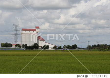 カントリーエレベーターの見える風景 カントリーエレベーターの見える風景 83531710