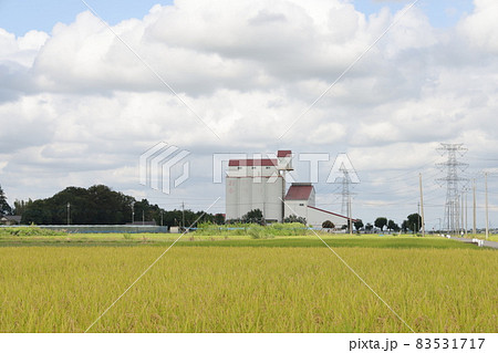 カントリーエレベーターの見える風景 83531717