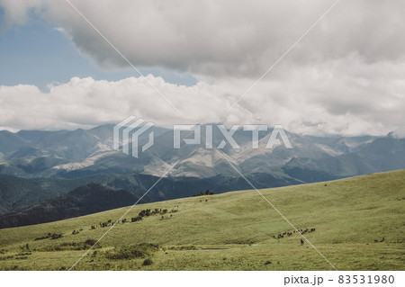 Panorama view of mountains and valley scenes in national park Dombay 83531980