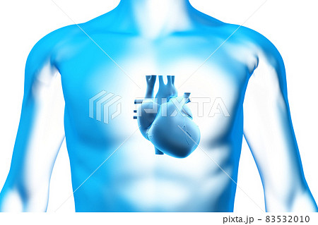 人の心臓の3Dモデル, 医療と健康 83532010