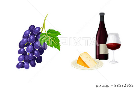 Wine Bottle with Glass for Degustation and Grape Cluster Vector Set 83532955