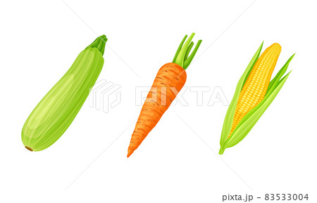 Marrow and Carrot as Ripe Vegetable and Healthy Raw Food Vector Set 83533004