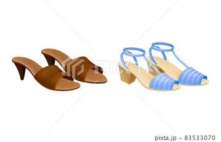 Blue and Brown Open Toe Womens Shoes with Heels Vector Set Blue and Brown Open Toe Womens Shoes with Heels Vector Set 83533070