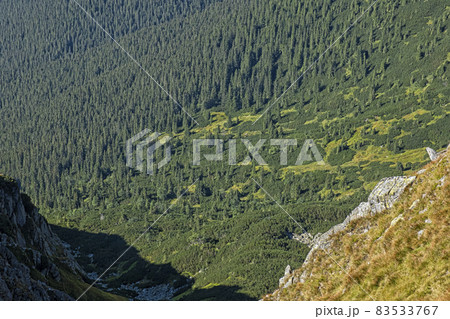 Low Tatras mountain scenery, Slovakia 83533767