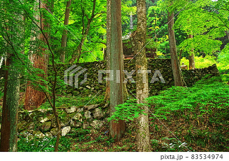 新緑の横蔵寺の三重塔と石垣：岐阜 83534974