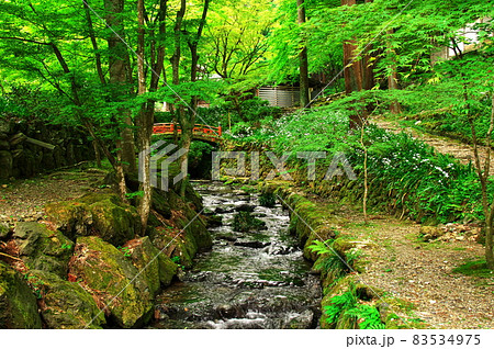 新緑の横蔵寺の小川と橋：岐阜 83534975