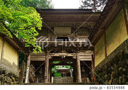 新緑の横蔵寺の仁王門:岐阜 新緑の横蔵寺の仁王門:岐阜 83534986
